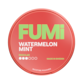 FUMi Watermelon Mint Regular