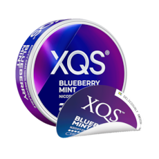 XQS Blueberry Mint Strong