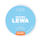 LEWA Nothing Nordic Mint Nicotine Free
