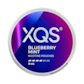 XQS Blueberry Mint Strong