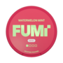 FUMi Watermelon Mint Mini
