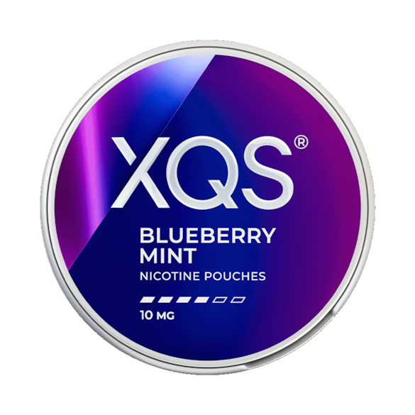 XQS Blueberry Mint 10mg
