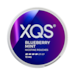XQS Blueberry Mint 10mg