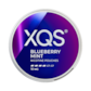 XQS Blueberry Mint 10mg