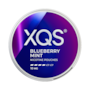XQS Blueberry Mint 10mg