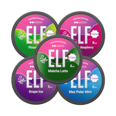 ELF Nicotine Pouches 5-pack 6mg Mixpack