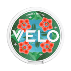 VELO Mystery Collection 2 (Hibicus Mint)