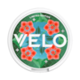 VELO Mystery Collection 2 (Hibicus Mint)