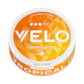 VELO Tropical Ice 10mg